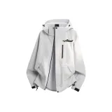 Серебристый Снежно-серый