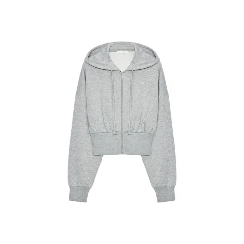 ZARA Зебра с принтом Серый Женский Свитшот