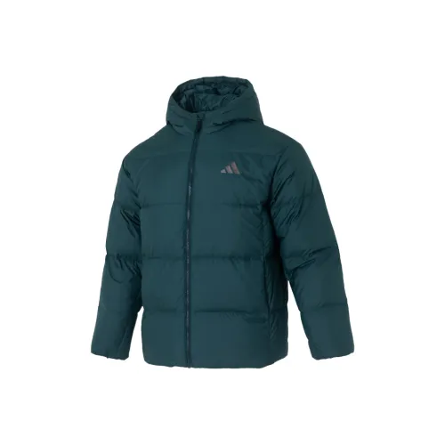 Adidas Базовый пуховый куртка JKT пуховик мужской темно-зеленый