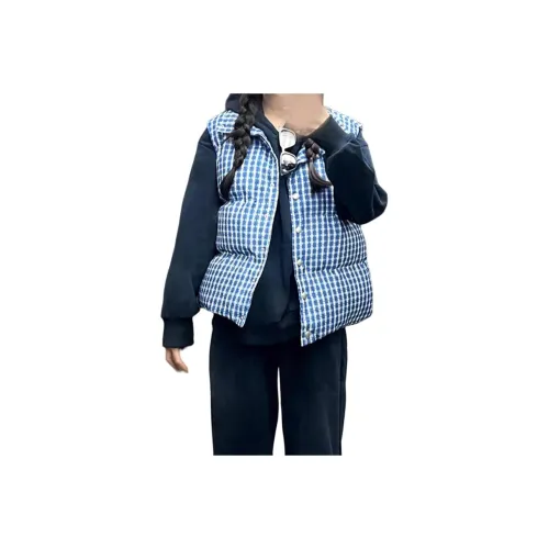 Gentle welcome Синие Клетчатые Женские Жилеты