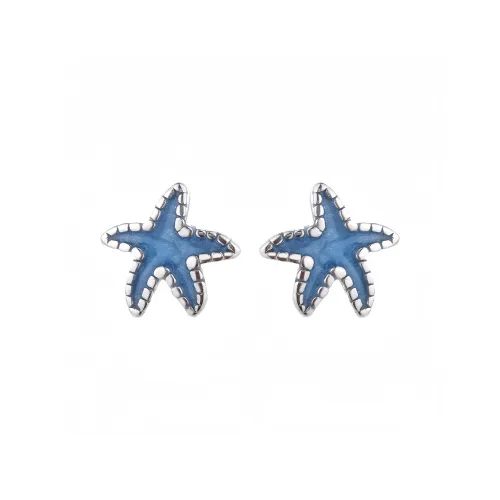 BKBU Титановые стальные серьги-гвоздики женские