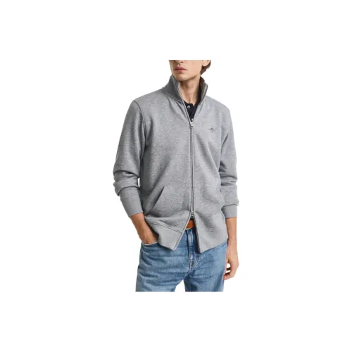 GANT Серый Мужской Свитшот