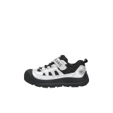 Серебристый / Черный