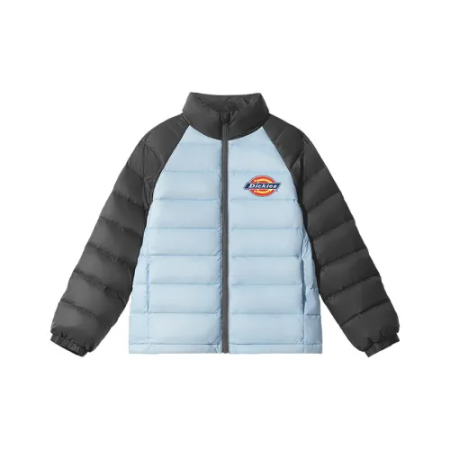 Dickies Kids Пуховики