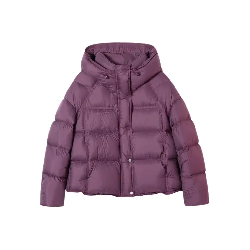 IWZI Женские пуховики