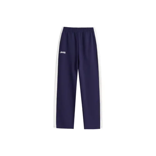 JEEP Темно-синие школьные спортивные брюки