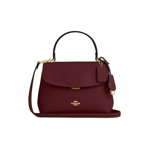 COACH Гладкая кожа Сумка Средний Женские Каштановый