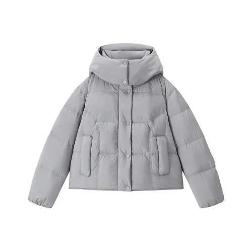 LEDIN Silver Candle Gray In Stock Women's Down Jacket