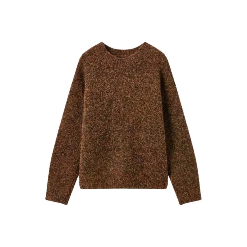 EICHITOO Темно-коричневый Женский Трикотаж