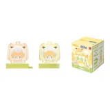 [Чжоу Цило] Прозрачная коробка, стиль позиционирования