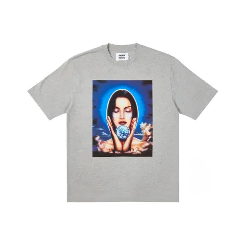 Дворцовый серый унисекс футболка