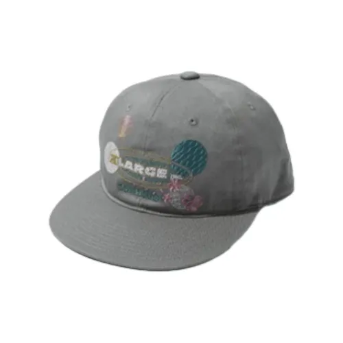 XLARGE Towndust Коллаборация Бейсболки Унисекс Серый