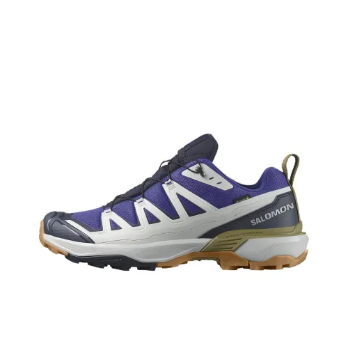 SALOMON X ULTRA 360 Амортизаторы Slip-resistant Низкий топ Уличная обувь Мужская Синий Коричневый