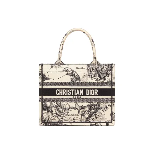 DIOR BookTote Вышивка Сумка Маленькая Женская Молочно-белая