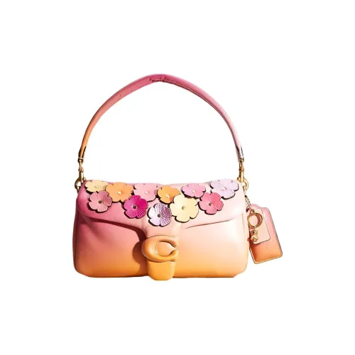 COACH Pillow Кожа Наппа Подушка Сумка Сумка Сумка через плечо Женская Латунь и Petunia Многоцветная