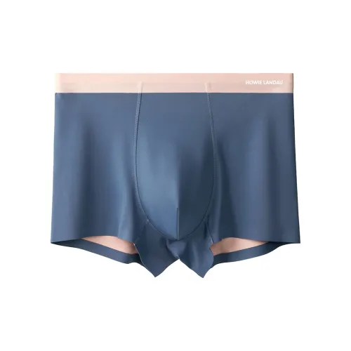 HOWIE LANDAU Боксер-брюки Унисекс
