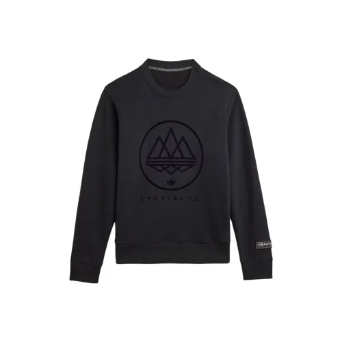 Adidas Originals SPEZIAL Series FW25 FC Толстовка Мужская