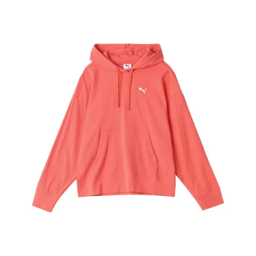 PUMA ESS ELEVATED FW25 COMFORT Ribbed Hoodie Sweatshirt Women's