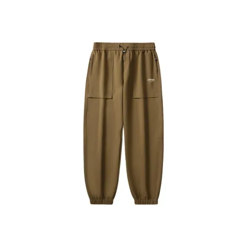 JEEP SPIRIT Мужские Повседневные Брюки