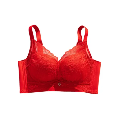 HOWIE LANDAU Женские Бюстгальтеры