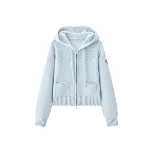 LEDIN Мягкий Синий В наличии Женский Трикотаж