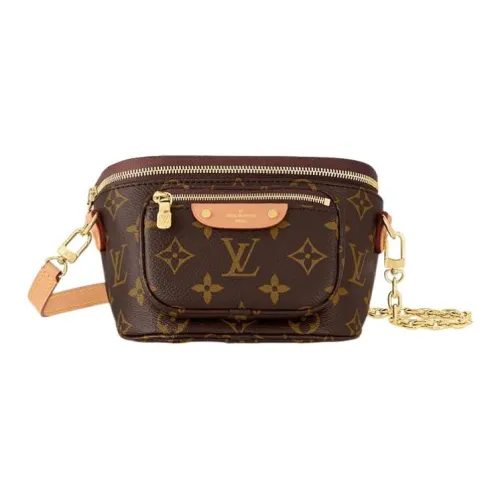 LOUIS VUITTON Bumbag Поясные сумки Женские