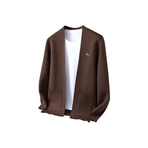 POLOMEISDO Мужские Свитера