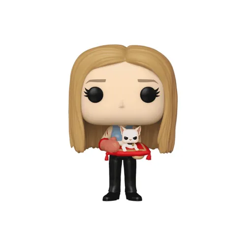 Funko Friends Rachel Зеленый Mrs. Wetherly Версия Фигурка в стиле Chibi