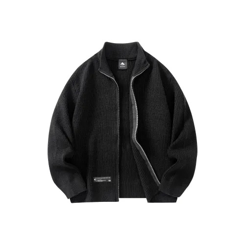 EMERICA Унисекс Свитера