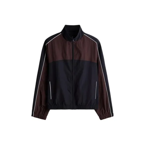 H M Морской синий Бургундский Мужские Куртки