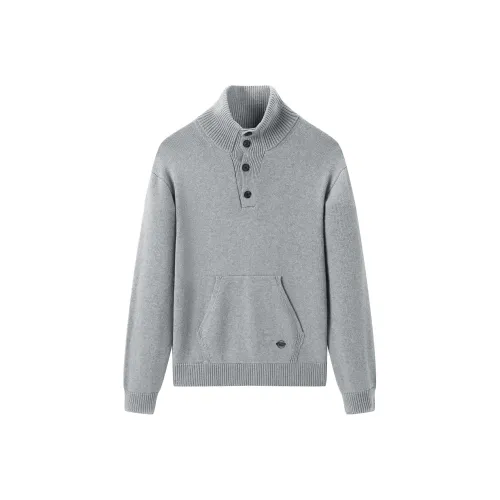 NPC Фотиния Серый Мужские Свитера