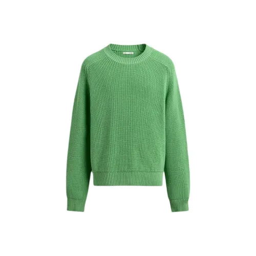 ZARA Зеленый Мужской Трикотаж