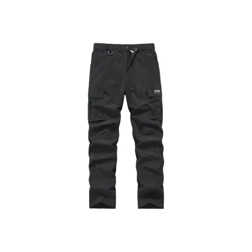 JEEP SPIRIT Мужские Повседневные Брюки