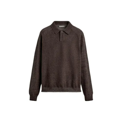 ZARA Коричневая Мужская Поло