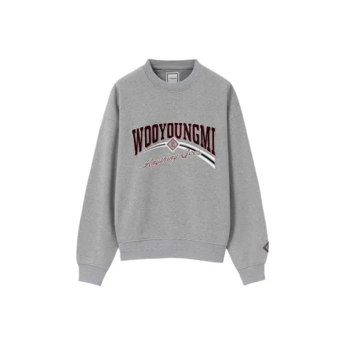 WOOYOUNGMI FW25 Серый Lenticular Логотип Толстовка Мужской