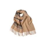 Верблюжья клетка