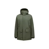 Сосновый зеленый