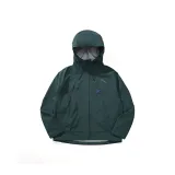 Улитка темно-зеленого цвета