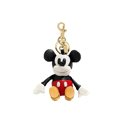 COACH Сумка Аксессуары Унисекс