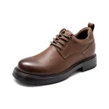 Коричневый, длина тела: 8 см