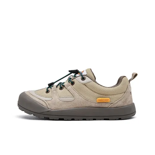 Dickies Низкий Топ Kids Lifestyle Shoes Подростки