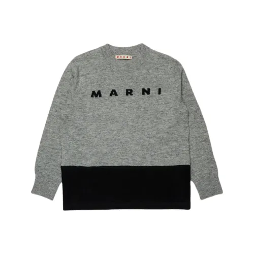 MARNI Серый Kids Свитера
