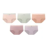 Розовый + Зеленый + Оранжевый + Темно-фиолетовый + Светло-фиолетовый