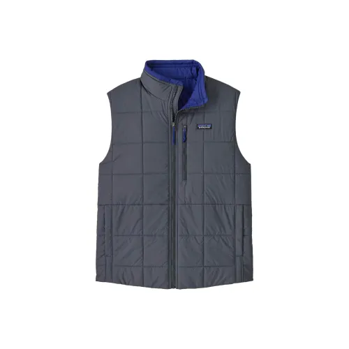 Patagonia Мужские жилеты