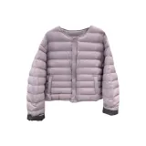 Светло-фиолетовый