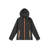 Дымчато-черный