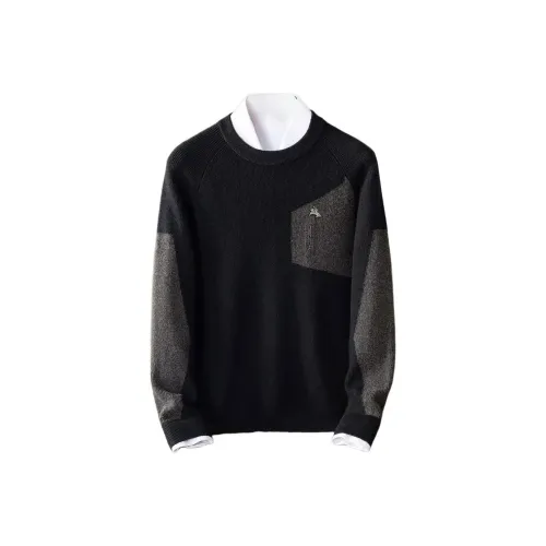 POLOMEISDO Мужские Свитера