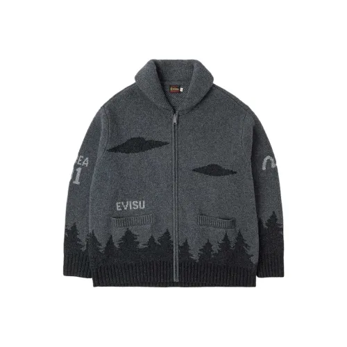 EVISU Мужские Свитера