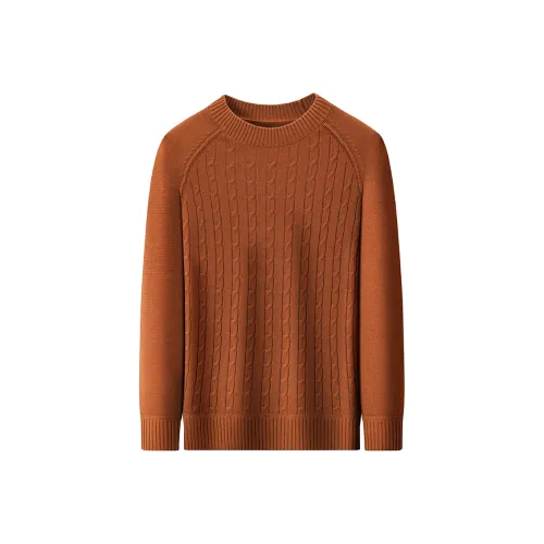 Candito Round Neck Вязаная модель Свитер Мужской