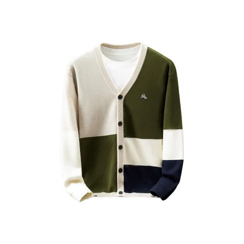 POLOMEISDO Мужские Свитера